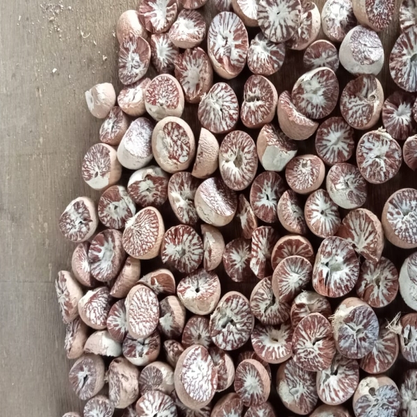 Split Betel Nut